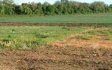 Hà Nội bàn giao 2.000m2 đất tại Long Biên cho Tổng cục Chính trị