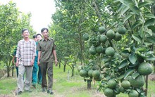 Trồng cây gì, nuôi con gì: Nông dân tự quyết định