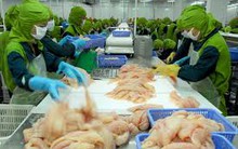 9 tháng đầu năm 2015, doanh nghiệp thủy sản gặp khó