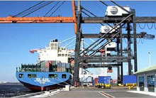 Đồng Nai nỗ lực tìm cách xuất khẩu trực tiếp sang Mỹ