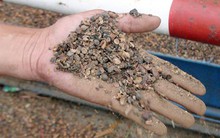 Vụ “7 ngân hàng tranh 1 kho cà phê”: Khởi tố Chủ tịch, Giám đốc Cty Trường Ngân