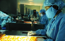 Giảm chi phí dự phòng, Dược Cửu Long báo lãi gần 30 tỷ trong 6 tháng đầu năm 2015