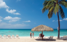 Không thể coi chủ sở hữu chuỗi Món Huế là công ty Việt Nam?