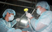 ​Heo ở lò mổ “lậu” dương tính với chất cấm