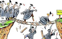 Cử nhân thất nghiệp tràn lan: Đâu là nguyên nhân?