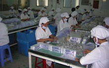 8 cổ đông của Dược Cửu Long chuyển nhượng gần 4,4 triệu cổ phần cho FIT không qua chào mua công khai