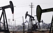 Nhà đầu tư hy vọng giá dầu sẽ hồi phục sớm hơn các dự đoán