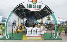 Lỗ tỷ giá, Đạm Cà Mau (DCM) báo lãi quý 3 thấp