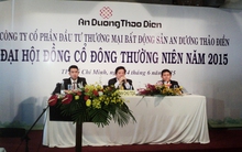 An Dương Thảo Điền thoái vốn khỏi công ty liên kết