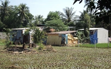 TP.HCM: Tháng 7 năm nay sẽ khởi công dự án công viên Sài Gòn Safari 500 triệu USD