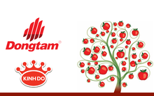 Thương vụ 450 tỷ của Đồng Tâm vào Kinh Đô: Trồng cây sắp đến ngày hái quả