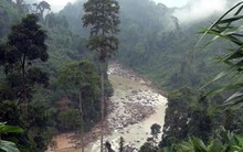 Vì sao phải dừng thi công Dự án thủy điện Sơn Trà 1?