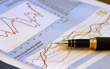 CYC, MDG: Quyết định đưa cổ phiếu vào diện cảnh báo