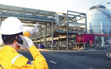 7 câu hỏi trước đại hội cổ đông PV GAS