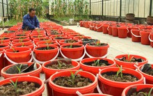 Ngay sau chốt quyền nhận cổ tức, SSIAM tính thoái vốn khỏi NSC