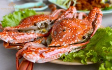 [Chart]: Top 5 thị trường tiêu thụ thủy sản Việt tăng mạnh nhất năm 2014