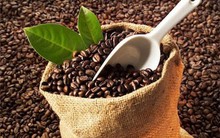 Xuất khẩu cà phê tháng đầu năm đạt hơn 100 nghìn tấn