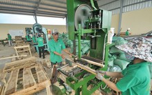 Một doanh nghiệp bị thanh tra, kiểm tra 45 lần trong năm