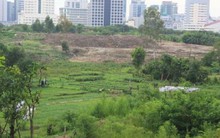 Hà Nội duyệt mức giá bồi thường hàng loạt khu vực tại Gia Lâm