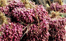 Hành tím ế, giá ở chợ vẫn cao gấp 6-7 lần