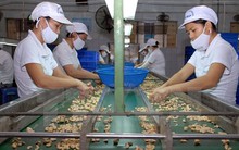 Việt Nam và Italy ký Hiệp định hợp tác trong lĩnh vực hải quan