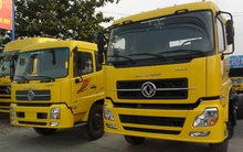 Mutual Fund Elite tiếp tục nâng tỷ lệ sở hữu HHS lên trên 8%