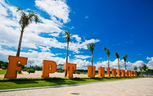 Lãnh đạo FPT sắp được nhận cổ phiếu ESOP trị giá 82 tỷ đồng