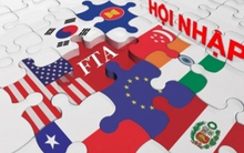 Doanh nghiệp "ngợp" thông tin hội nhập như chọn buffet