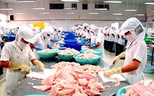 ICF: Quý 1/2015 lãi thấp, EPS chỉ đạt 3 đồng