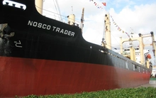 Nosco lại lỗ tiếp hơn 300 tỷ chỉ sau 6 tháng đầu năm