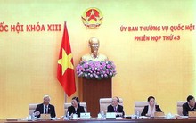 Không để ba ông trưởng phòng chỉ huy một chuyên viên