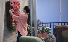 Trồng cây trên tường đẹp nhà mà đơn giản