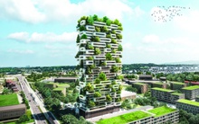 Mát dịu với tòa tháp chọc trời phủ toàn cây xanh