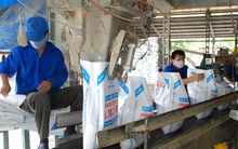 Tiết kiệm chi phí, Quý 2/2015 LAS lãi trước thuế 120 tỷ đồng, tăng 66% so với cùng kỳ