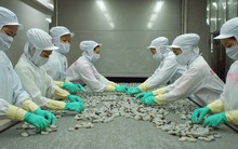 CMX: Giá vốn giảm mạnh, lãi quý 1/2015 gấp 4 lần cùng kỳ 2014