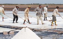 Nghịch lý hạt muối