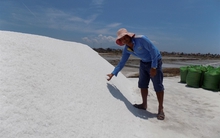 Diêm dân khóc ròng