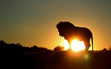 [Trước giờ giao dịch 17/03] Ngưỡng 580, đủ điều kiện cho một sự phục hồi kỹ thuật