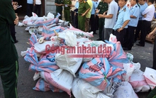 Bắt 2,2 tấn ngà voi trị giá 100 tỷ đồng