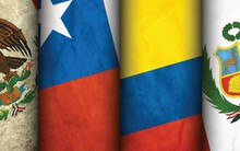 Những con báo của Thái Bình Dương