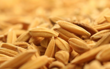 PAN Food giao dịch bất thành cổ phiếu ABT do… thủ tục chuyển khoản