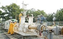 PGD: 6 tháng lãi ròng 172 tỷ đồng, vượt 71% kế hoạch cả năm