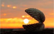 [Trước giờ giao dịch 05/02]: SCR chuẩn bị được nội bộ gom, OGC bao giờ tạo đáy?