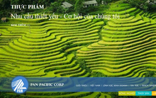 Công ty mẹ PAN: Quý 3 lãi ròng 32 tỷ đồng cao gấp 2 lần cùng kỳ