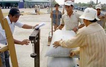 Thu mua tạm trữ lúa, gạo vụ Đông Xuân 2014 - 2015
