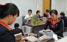 7 tháng, Sacombank đã có 19 gói tín dụng ưu đãi tới gần 55.000 tỷ đồng