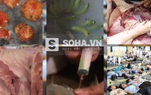 Bao nhiêu người Việt sẽ không lạnh xương sống khi xem video này?