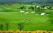 Hơn 19.000 quy hoạch: Chồng chéo, thiếu khả thi