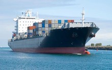 20 hãng tàu biển lớn lọt "tầm ngắm" thanh tra của Bộ Tài chính