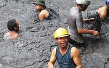 Thiệt hại do mưa lũ, 8 doanh nghiệp than lỗ 117 tỷ đồng